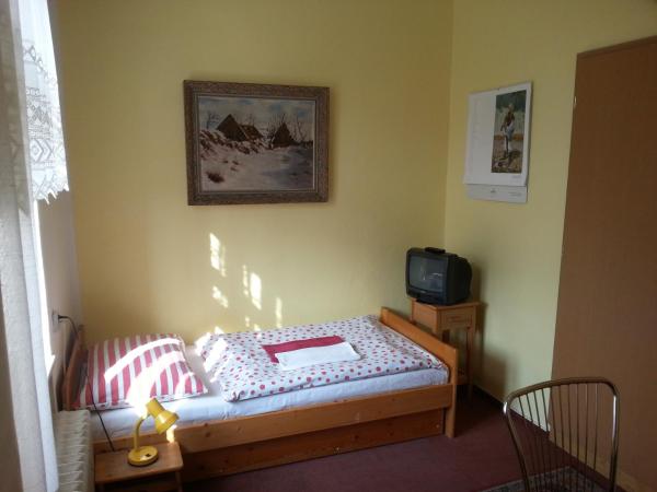 Pension U Dolezalu : photo 4 de la chambre chambre simple - vue sur jardin