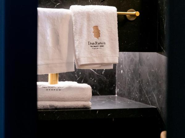 Hotel Casa Palacio Don Ramón : photo 4 de la chambre suite avec terrasse