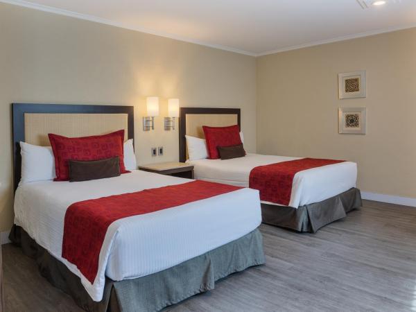Exe Alameda Reforma : photo 2 de la chambre chambre double avec 2 lits doubles - non-fumeurs