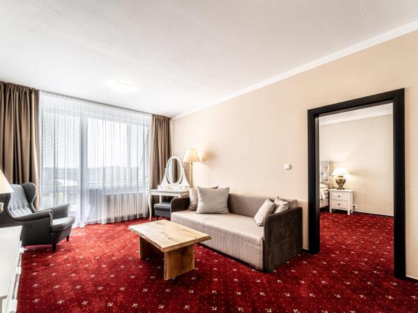 Hotel Fontána : photo 4 de la chambre suite deluxe