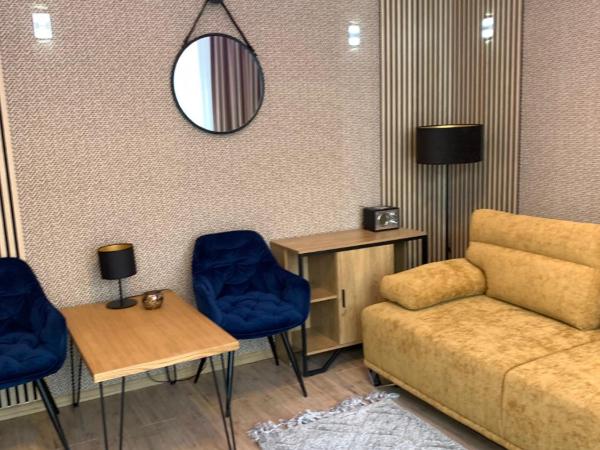 Hotel Cis : photo 4 de la chambre appartement 1 chambre