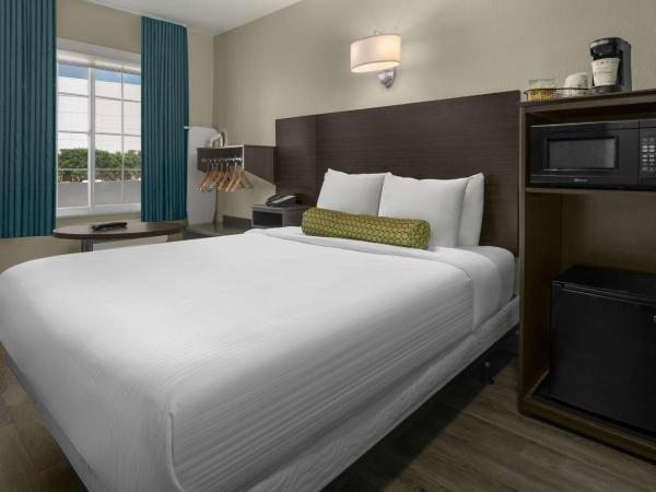 SureStay Hotel by Best Western San Diego Pacific Beach : photo 2 de la chambre chambre lit queen-size avec douche accessible en fauteuil roulant