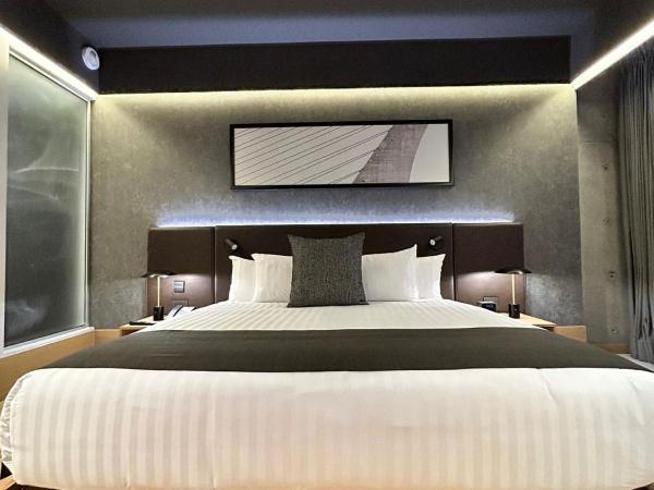 Galeria Plaza Monterrey : photo 10 de la chambre chambre deluxe