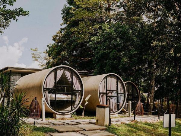 The Culvert : photo 4 de la chambre suite - vue sur mer