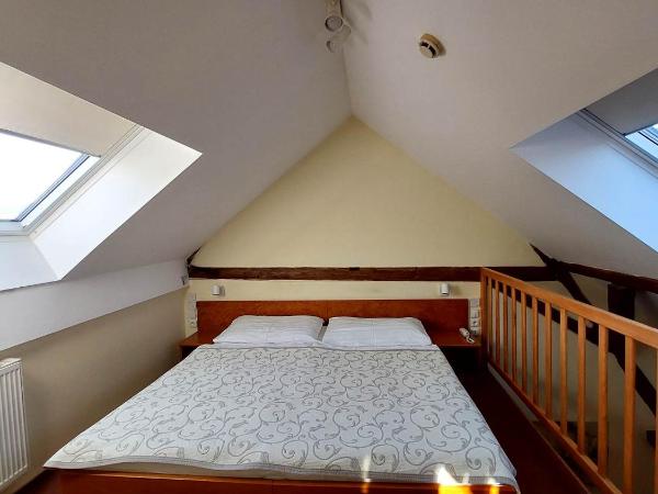 Hotel Čertousy : photo 3 de la chambre suite standard