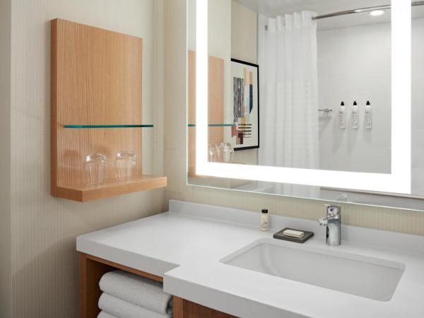 Delta Hotels Calgary Airport In-Terminal : photo 2 de la chambre chambre lit king-size