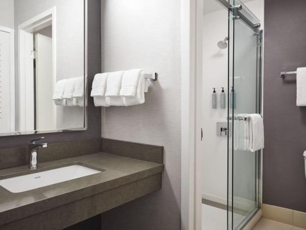 Courtyard by Marriott St. Louis Downtown West : photo 4 de la chambre chambre lit king-size avec canapé-lit