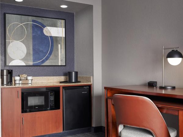 Courtyard by Marriott St. Louis Downtown West : photo 7 de la chambre suite 1 chambre lit king-size avec canapé-lit