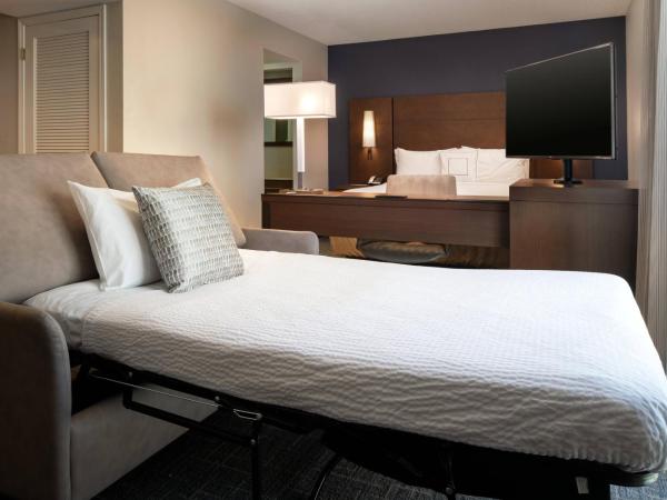Residence Inn by Marriott Las Vegas Convention Center : photo 4 de la chambre suite lit queen-size avec canapé-lit