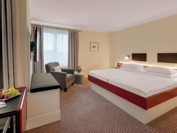 Rheinhotel Dreesen : photo 3 de la chambre chambre double sans balcon - vue partielle sur rivière