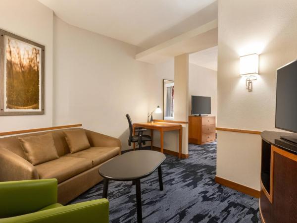 Fairfield Inn & Suites Jacksonville West/Chaffee Point : photo 4 de la chambre studio lit king-size avec canapé-lit