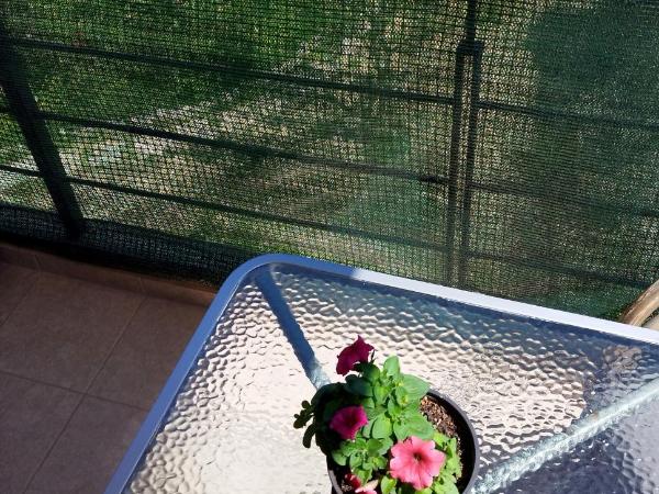 Mom's Cozy Corner : photo 9 de la chambre chambre double avec balcon