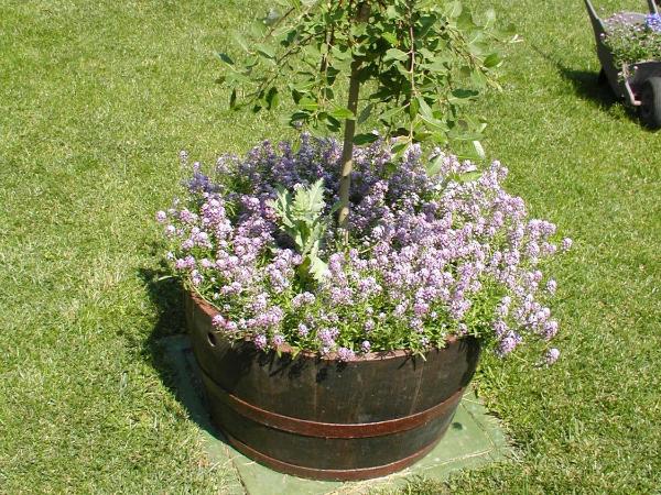 Rooms Vila Mautner : photo 7 de la chambre chambre double avec terrasse