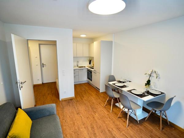 DM & s Apartment : photo 4 de la chambre appartement avec terrasse