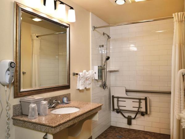 Lamplighter Inn & Suites at SDSU : photo 5 de la chambre chambre lit king-size avec douche accessible en fauteuil roulant - adaptée aux personnes à mobilité réduite