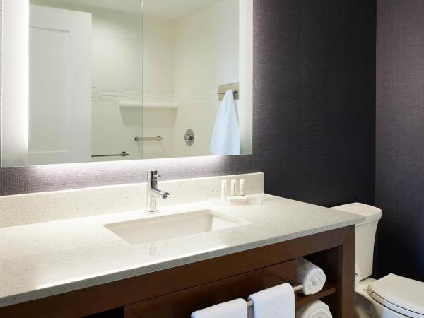 Residence Inn By Marriott Dallas By The Galleria : photo 3 de la chambre studio lit king-size avec canapé-lit