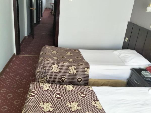 SPOR HOTEL : photo 7 de la chambre chambre lit king-size standard