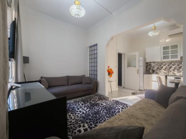 Taksim Hostel Green House Istanbul : photo 8 de la chambre appartement 1 chambre