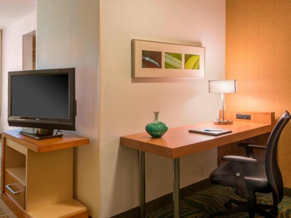 SpringHill Suites by Marriott Charlotte Airport : photo 4 de la chambre studio lit king-size