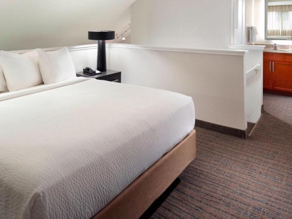 Residence Inn by Marriott Atlanta Buckhead : photo 1 de la chambre suite 2 chambres