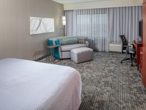 Courtyard by Marriott Houston Medical Center/NRG Park : photo 1 de la chambre chambre lit king-size avec canapé-lit