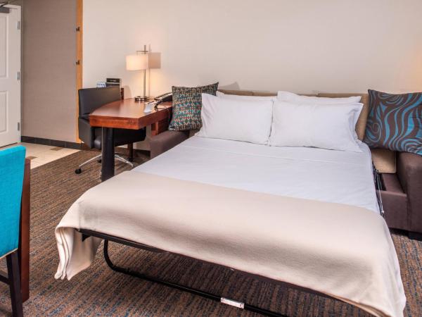 Residence Inn Pittsburgh North Shore : photo 5 de la chambre studio lit king-size deluxe