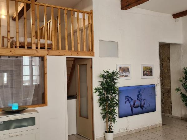 La Loge Du Vieux Lyon : photo 6 de la chambre appartement duplex 1 chambre (6 adultes)