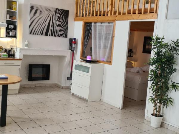 La Loge Du Vieux Lyon : photo 2 de la chambre appartement duplex 1 chambre (6 adultes)