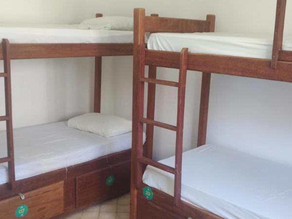 Get Up Hostel : photo 1 de la chambre lit superposé dans dortoir pour femmes