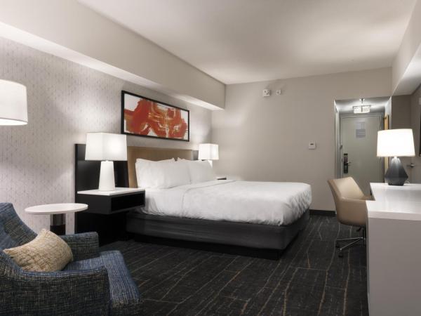 Holiday Inn - Chicago Dwtn - Wolf Point, an IHG Hotel : photo 5 de la chambre chambre lit king-size standard - vue sur horizon