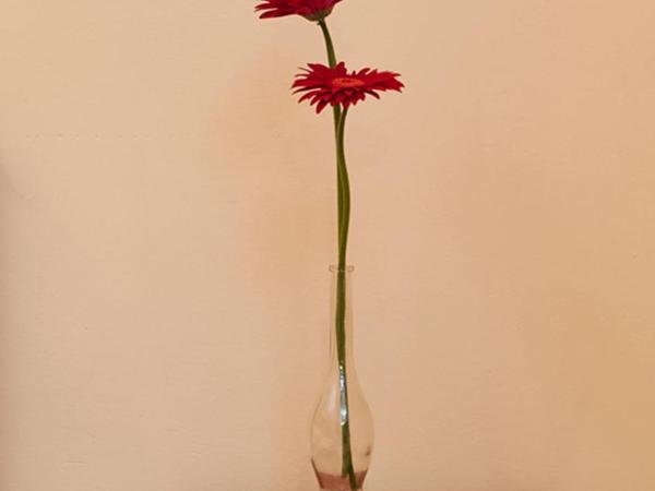 Cagliari Novecento : photo 3 de la chambre chambre simple