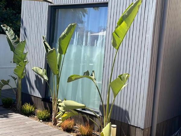 Casa Malpique : photo 2 de la chambre chambre double - vue sur parc