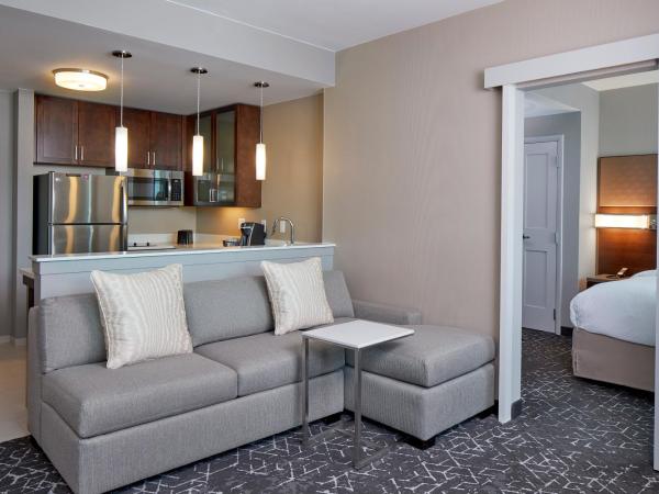 Residence Inn by Marriott Nashville Downtown/Convention Center : photo 8 de la chambre suite 1 chambre lit king-size avec canapé-lit