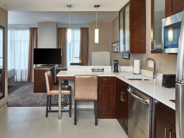 Residence Inn by Marriott Nashville Downtown/Convention Center : photo 4 de la chambre studio lit king-size avec canapé-lit