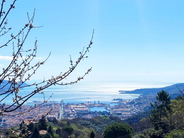 Trilogy : photo 4 de la chambre chambre double