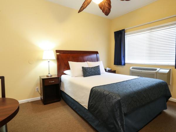 The Hotel Hollywood : photo 4 de la chambre ce studio comprend une cuisine.