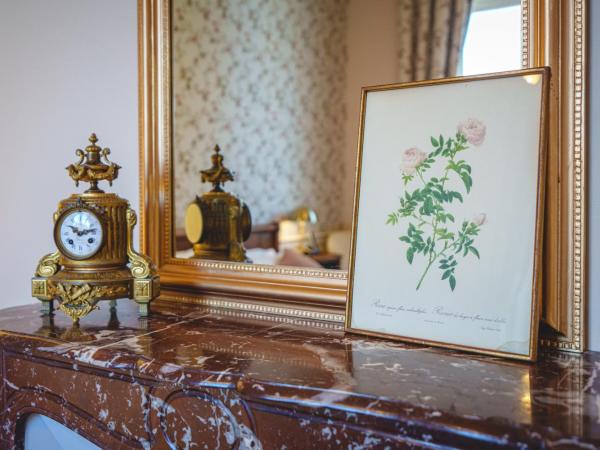 Château La Comtesse de Loire & Spa : photo 2 de la chambre chambre lit queen-size