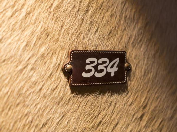 Bernerhof Swiss Quality Hotel Gstaad : photo 4 de la chambre suite 2 chambres