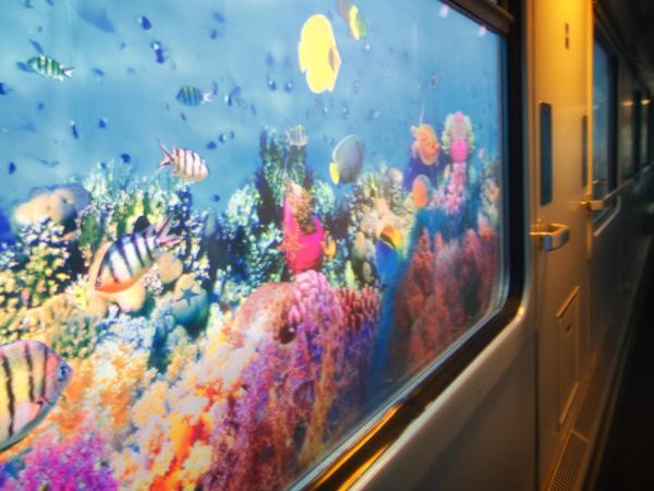 BaseCamp Bonn : photo 5 de la chambre espace de couchage intérieur