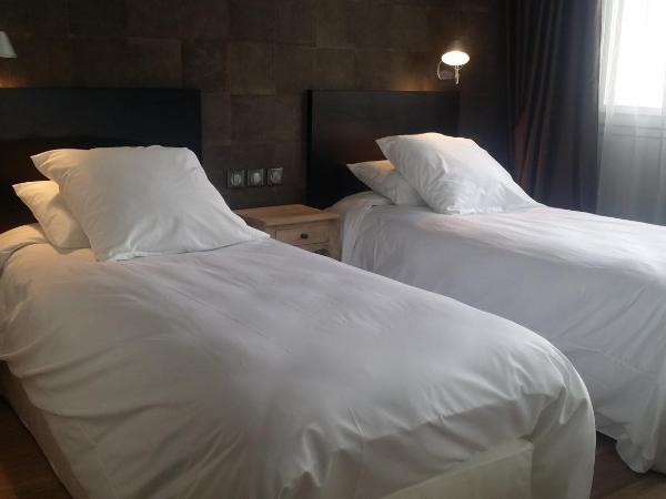 Hôtel Catalpa : photo 4 de la chambre chambre lits jumeaux premium