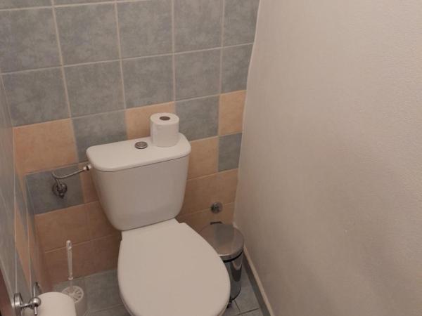 Apartments Kájovská 63 : photo 9 de la chambre appartement