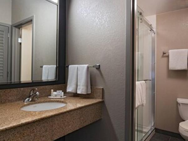 Courtyard by Marriott San Antonio Medical Center : photo 1 de la chambre chambre lit king-size avec canapé-lit