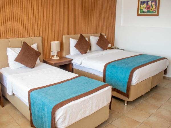 Dinc Pension : photo 10 de la chambre chambre double avec balcon - vue sur mer