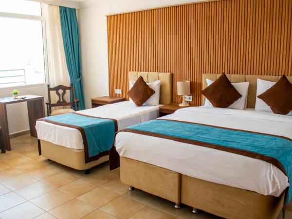 Dinc Pension : photo 7 de la chambre chambre double avec balcon - vue sur mer