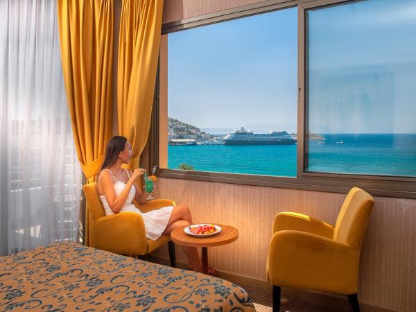 Palm Hotel : photo 7 de la chambre chambre double ou lits jumeaux standard