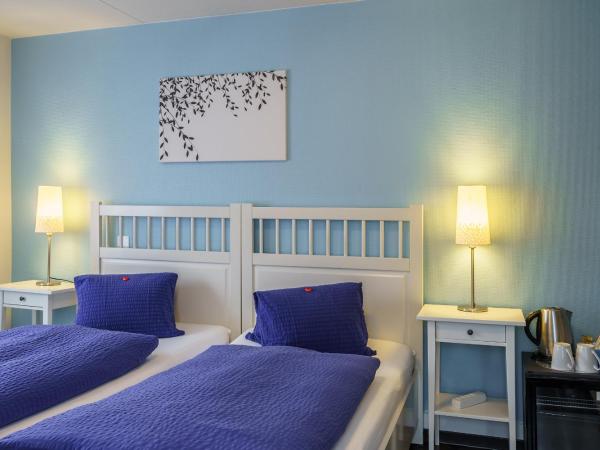 Hotel Alphorn : photo 3 de la chambre chambre double ou lits jumeaux