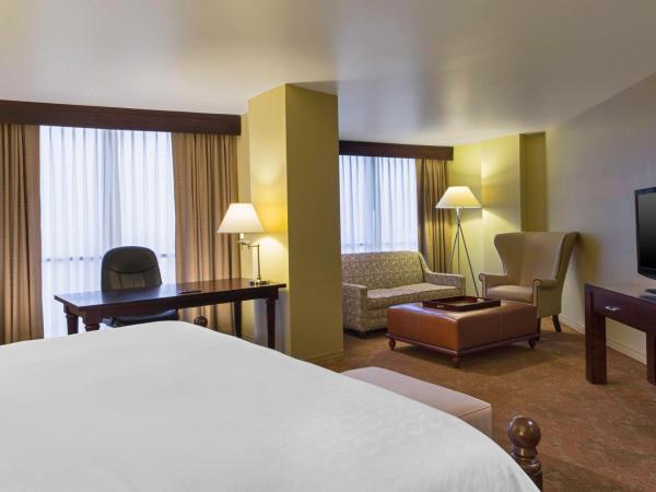 Sheraton Houston Brookhollow : photo 4 de la chambre suite junior - suite junior 1 lit king-size avec canapé-lit