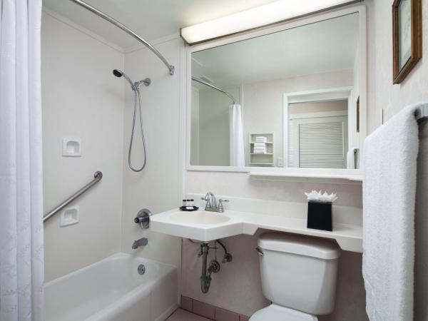 Sheraton Princess Kaiulani : photo 6 de la chambre chambre avec 2 lits doubles - vue sur piscine