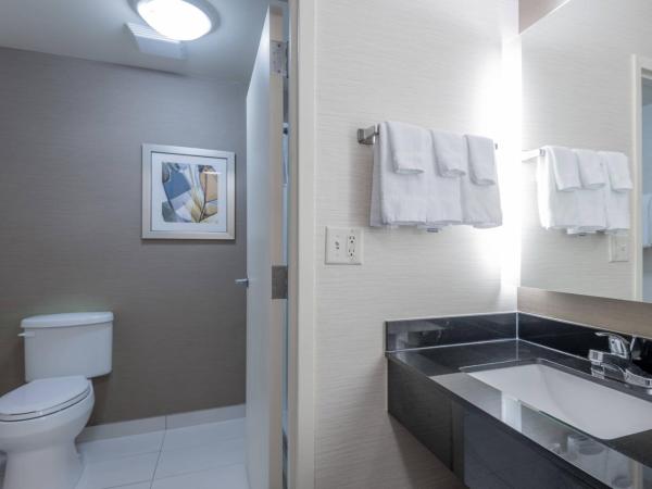 Fairfield Inn & Suites Savannah I-95 South : photo 2 de la chambre chambre lit queen-size 