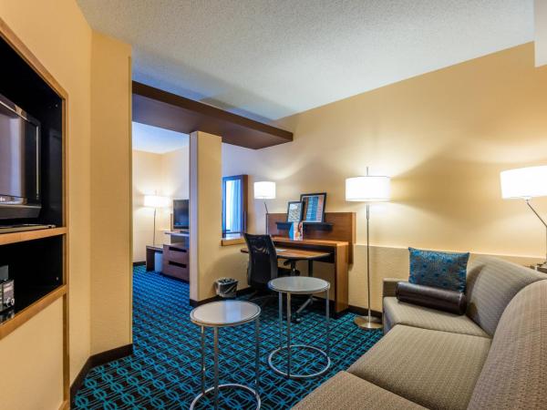 Fairfield Inn & Suites Savannah I-95 South : photo 1 de la chambre studio lit king-size avec canapé-lit